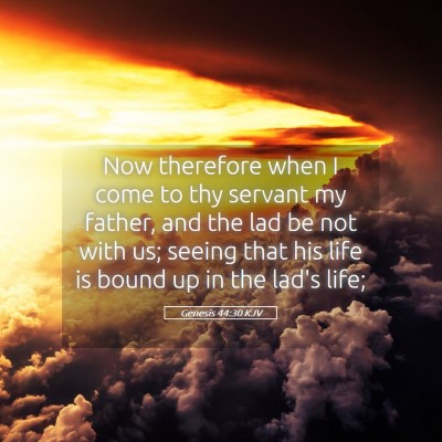 Picture 05 - Genesis 44:30 KJV - Now therefore when I come to thy servant my - Bible Verse Picture