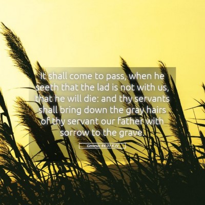 Picture 05 - Genesis 44:31 KJV - It shall come to pass, when he seeth that the lad - Bible Verse Picture