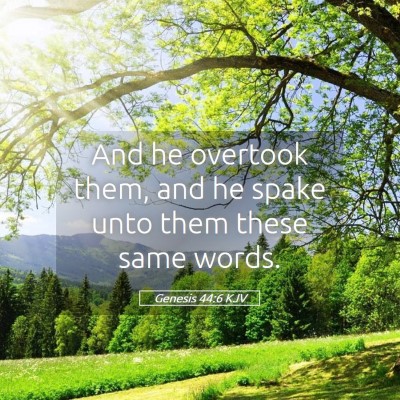 Picture 05 - Genesis 44:6 KJV - And he overtook them, and he spake unto them - Bible Verse Picture