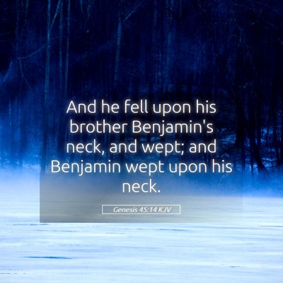 Picture 05 - Genesis 45:14 KJV - And he fell upon his brother Benjamin's neck, and - Bible Verse Picture