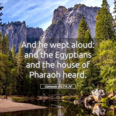 Picture 05 - Genesis 45:2 KJV - And he wept aloud: and the Egyptians and the - Bible Verse Picture