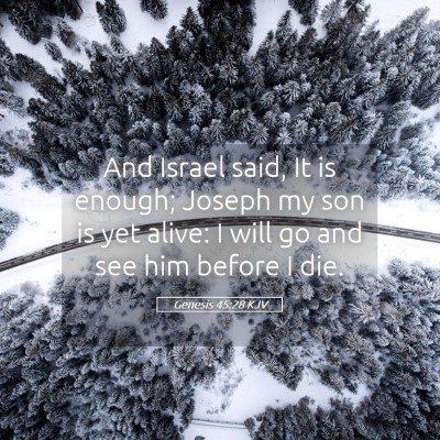 Picture 05 - Genesis 45:28 KJV - And Israel said, It is enough; Joseph my son is - Bible Verse Picture