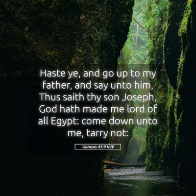 Picture 05 - Genesis 45:9 KJV - Haste ye, and go up to my father, and say unto - Bible Verse Picture