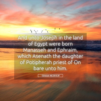 Picture 05 - Genesis 46:20 KJV - And unto Joseph in the land of Egypt were born - Bible Verse Picture