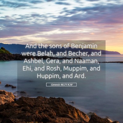 Picture 05 - Genesis 46:21 KJV - And the sons of Benjamin were Belah, and Becher, - Bible Verse Picture