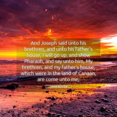 Picture 05 - Genesis 46:31 KJV - And Joseph said unto his brethren, and unto his - Bible Verse Picture