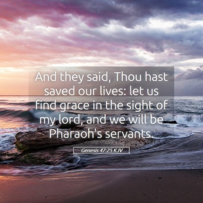 Picture 05 - Genesis 47:25 KJV - And they said, Thou hast saved our lives: let us - Bible Verse Picture