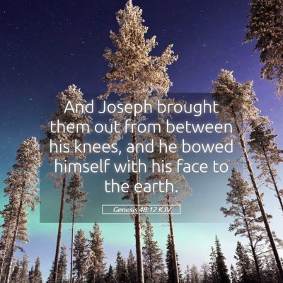 Picture 05 - Genesis 48:12 KJV - And Joseph brought them out from between his - Bible Verse Picture