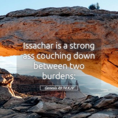 Picture 05 - Genesis 49:14 KJV - Issachar is a strong ass couching down between - Bible Verse Picture