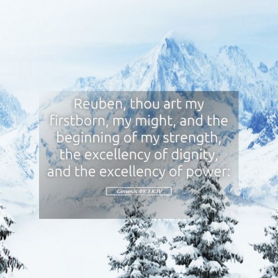 Picture 05 - Genesis 49:3 KJV - Reuben, thou art my firstborn, my might, and the - Bible Verse Picture