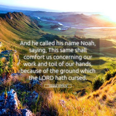 Picture 05 - Genesis 5:29 KJV - And he called his name Noah, saying, This same - Bible Verse Picture