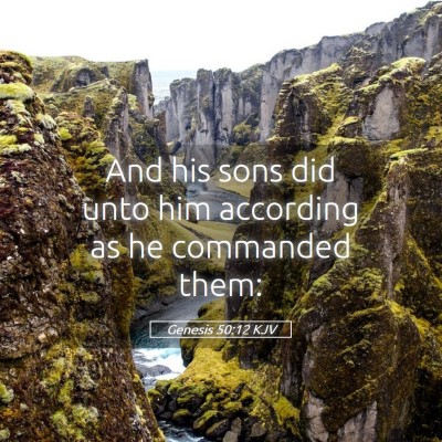 Picture 05 - Genesis 50:12 KJV - And his sons did unto him according as he - Bible Verse Picture