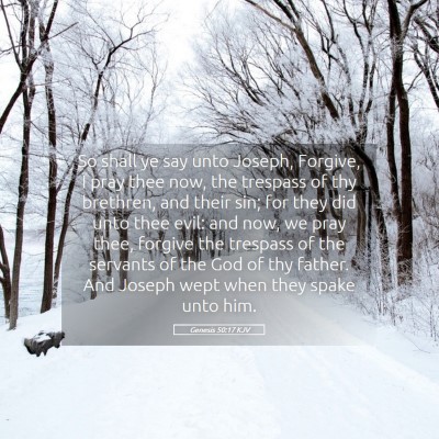 Picture 05 - Genesis 50:17 KJV - So shall ye say unto Joseph, Forgive, I pray thee - Bible Verse Picture