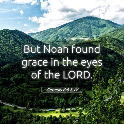 Picture 05 - Genesis 6:8 KJV - But Noah found grace in the eyes of the - Bible Verse Picture