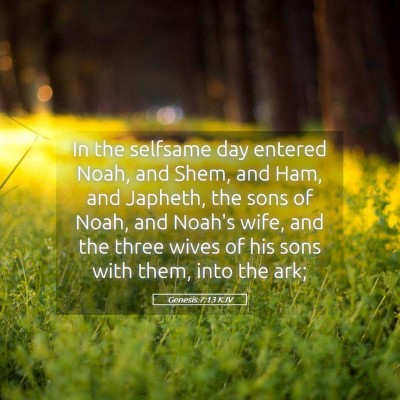 Picture 05 - Genesis 7:13 KJV - In the selfsame day entered Noah, and Shem, and - Bible Verse Picture