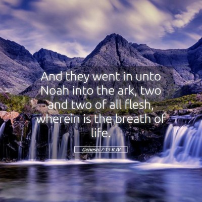 Picture 05 - Genesis 7:15 KJV - And they went in unto Noah into the ark, two and - Bible Verse Picture