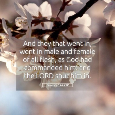 Picture 05 - Genesis 7:16 KJV - And they that went in, went in male and female of - Bible Verse Picture