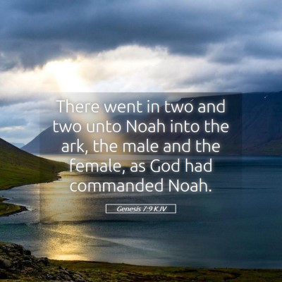 Picture 05 - Genesis 7:9 KJV - There went in two and two unto Noah into the ark, - Bible Verse Picture