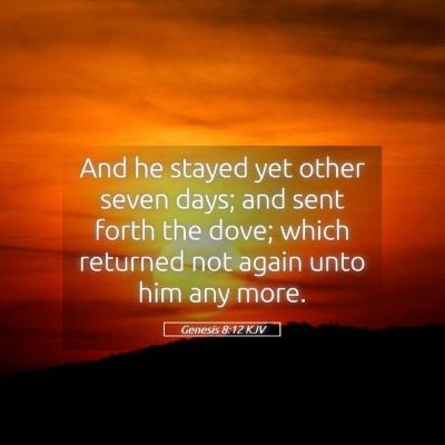 Picture 05 - Genesis 8:12 KJV - And he stayed yet other seven days; and sent - Bible Verse Picture