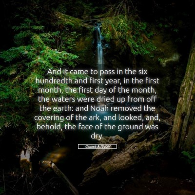 Picture 05 - Genesis 8:13 KJV - And it came to pass in the six hundredth and - Bible Verse Picture