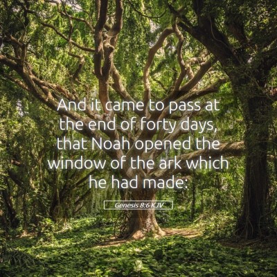 Picture 05 - Genesis 8:6 KJV - And it came to pass at the end of forty days, - Bible Verse Picture