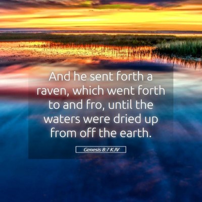 Picture 05 - Genesis 8:7 KJV - And he sent forth a raven, which went forth to - Bible Verse Picture