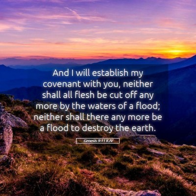 Picture 05 - Genesis 9:11 KJV - And I will establish my covenant with you, - Bible Verse Picture