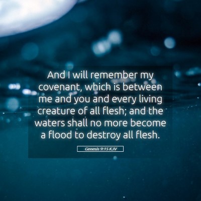 Picture 05 - Genesis 9:15 KJV - And I will remember my covenant, which is between - Bible Verse Picture