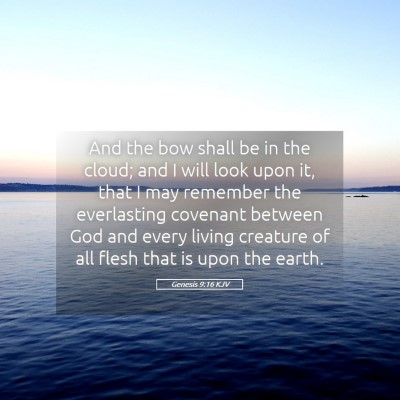Picture 05 - Genesis 9:16 KJV - And the bow shall be in the cloud; and I will - Bible Verse Picture