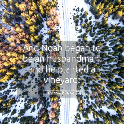 Picture 05 - Genesis 9:20 KJV - And Noah began to be an husbandman, and he - Bible Verse Picture