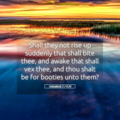Picture 05 - Habakkuk 2:7 KJV - Shall they not rise up suddenly that shall bite - Bible Verse Picture