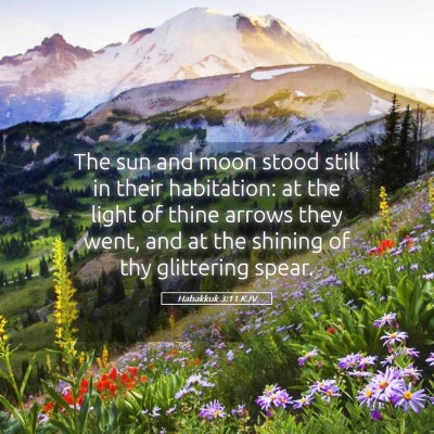 Picture 05 - Habakkuk 3:11 KJV - The sun and moon stood still in their habitation: - Bible Verse Picture