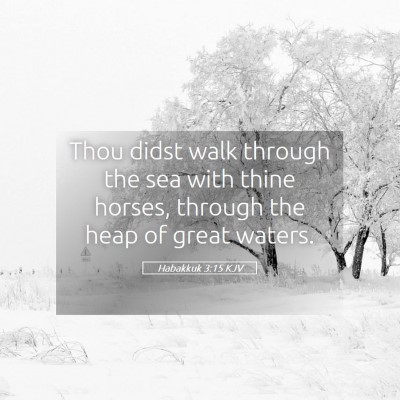 Picture 05 - Habakkuk 3:15 KJV - Thou didst walk through the sea with thine - Bible Verse Picture