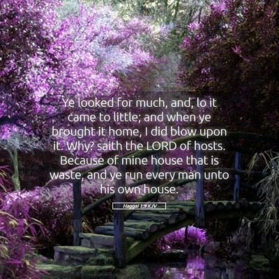 Picture 05 - Haggai 1:9 KJV - Ye looked for much, and, lo it came to little; - Bible Verse Picture