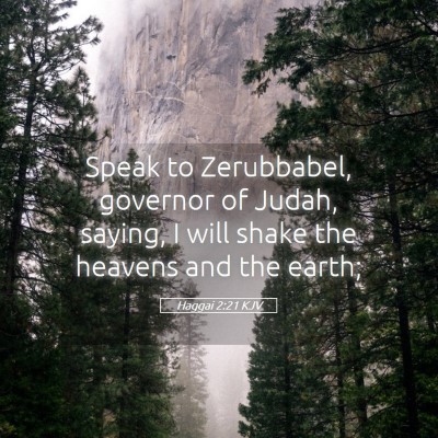 Picture 05 - Haggai 2:21 KJV - Speak to Zerubbabel, governor of Judah, saying, I - Bible Verse Picture