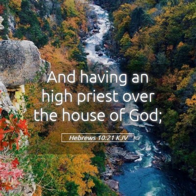 Picture 05 - Hebrews 10:21 KJV - And having an high priest over the house of - Bible Verse Picture