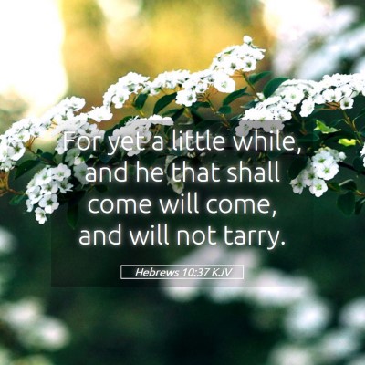 Picture 05 - Hebrews 10:37 KJV - For yet a little while, and he that shall come - Bible Verse Picture
