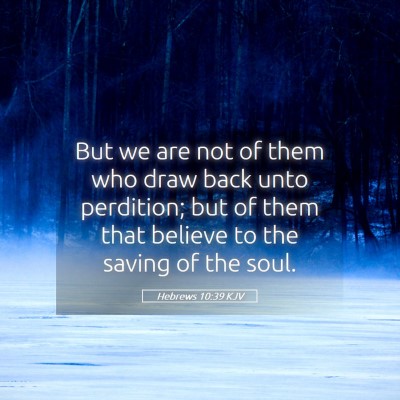 Picture 05 - Hebrews 10:39 KJV - But we are not of them who draw back unto - Bible Verse Picture