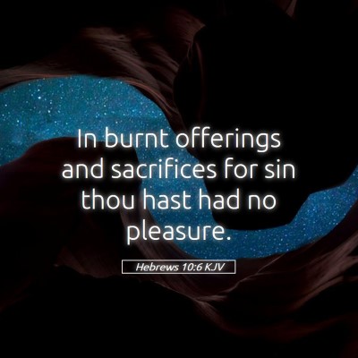 Picture 05 - Hebrews 10:6 KJV - In burnt offerings and sacrifices for sin thou - Bible Verse Picture