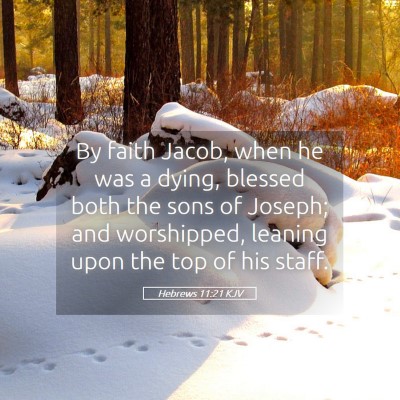 Picture 05 - Hebrews 11:21 KJV - By faith Jacob, when he was a dying, blessed both - Bible Verse Picture