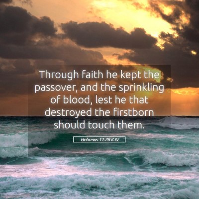 Picture 05 - Hebrews 11:28 KJV - Through faith he kept the passover, and the - Bible Verse Picture