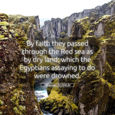 Picture 05 - Hebrews 11:29 KJV - By faith they passed through the Red sea as by - Bible Verse Picture