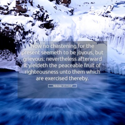 Picture 05 - Hebrews 12:11 KJV - Now no chastening for the present seemeth to be - Bible Verse Picture