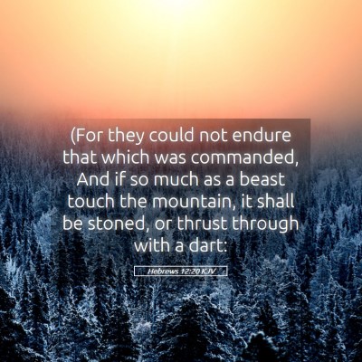Picture 05 - Hebrews 12:20 KJV - (For they could not endure that which was - Bible Verse Picture