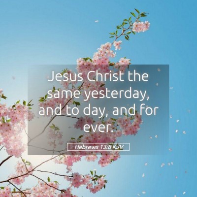 Picture 05 - Hebrews 13:8 KJV - Jesus Christ the same yesterday, and to day, and - Bible Verse Picture