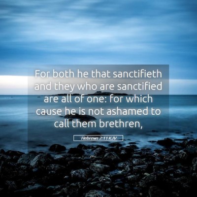 Picture 05 - Hebrews 2:11 KJV - For both he that sanctifieth and they who are - Bible Verse Picture