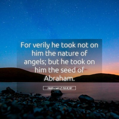 Picture 05 - Hebrews 2:16 KJV - For verily he took not on him the nature of - Bible Verse Picture
