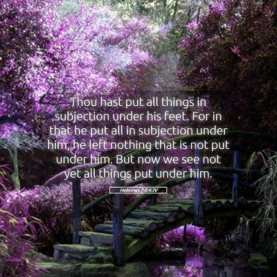 Picture 05 - Hebrews 2:8 KJV - Thou hast put all things in subjection under his - Bible Verse Picture
