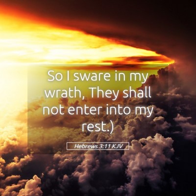 Picture 05 - Hebrews 3:11 KJV - So I sware in my wrath, They shall not enter into - Bible Verse Picture