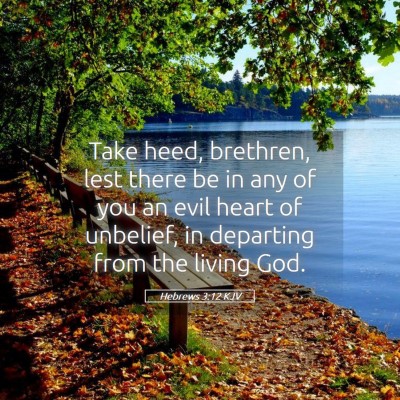 Picture 05 - Hebrews 3:12 KJV - Take heed, brethren, lest there be in any of you - Bible Verse Picture